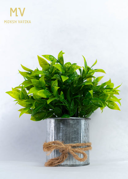 Faux Green Plant in Tin Pot with Jute Tie