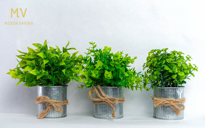 The Green Nook Set