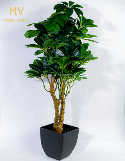 Tropical Broadleaf Accent Plant in Matte Black Planter