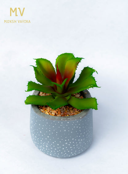 Faux Succulent in Bonjour Ceramic Pot