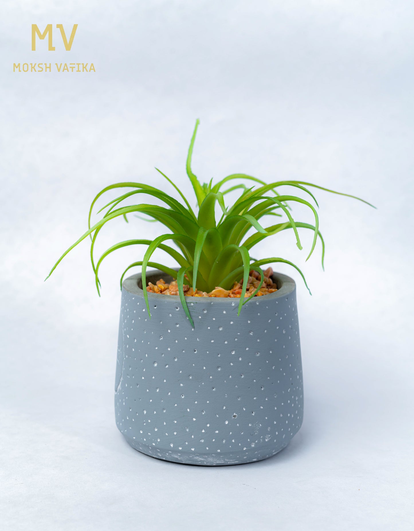 Artificial Spider Plant in Bonjour Pot