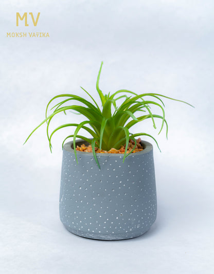 Artificial Spider Plant in Bonjour Pot