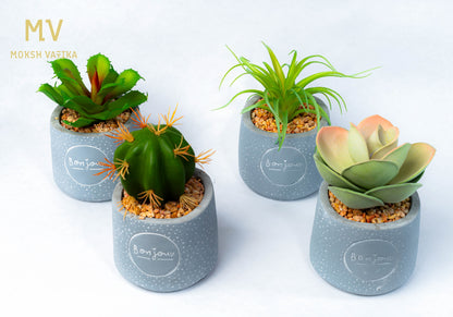 The Bonjour Minis - Luxe Desk Plant Set (Set of 4)