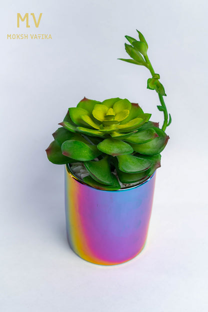 Holographic Succulent in Rainbow Ceramic Pot