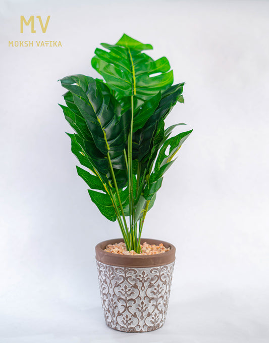 Tropical Foliage in Vintage Pattern Pot