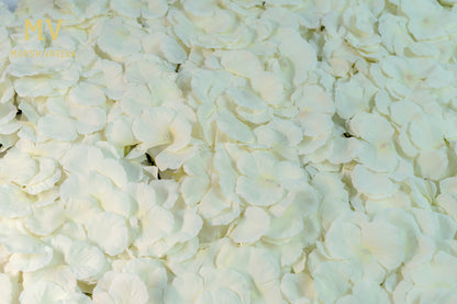 Ivory Cream Wall Panel