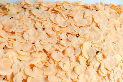 Peach Glow Wall Panel