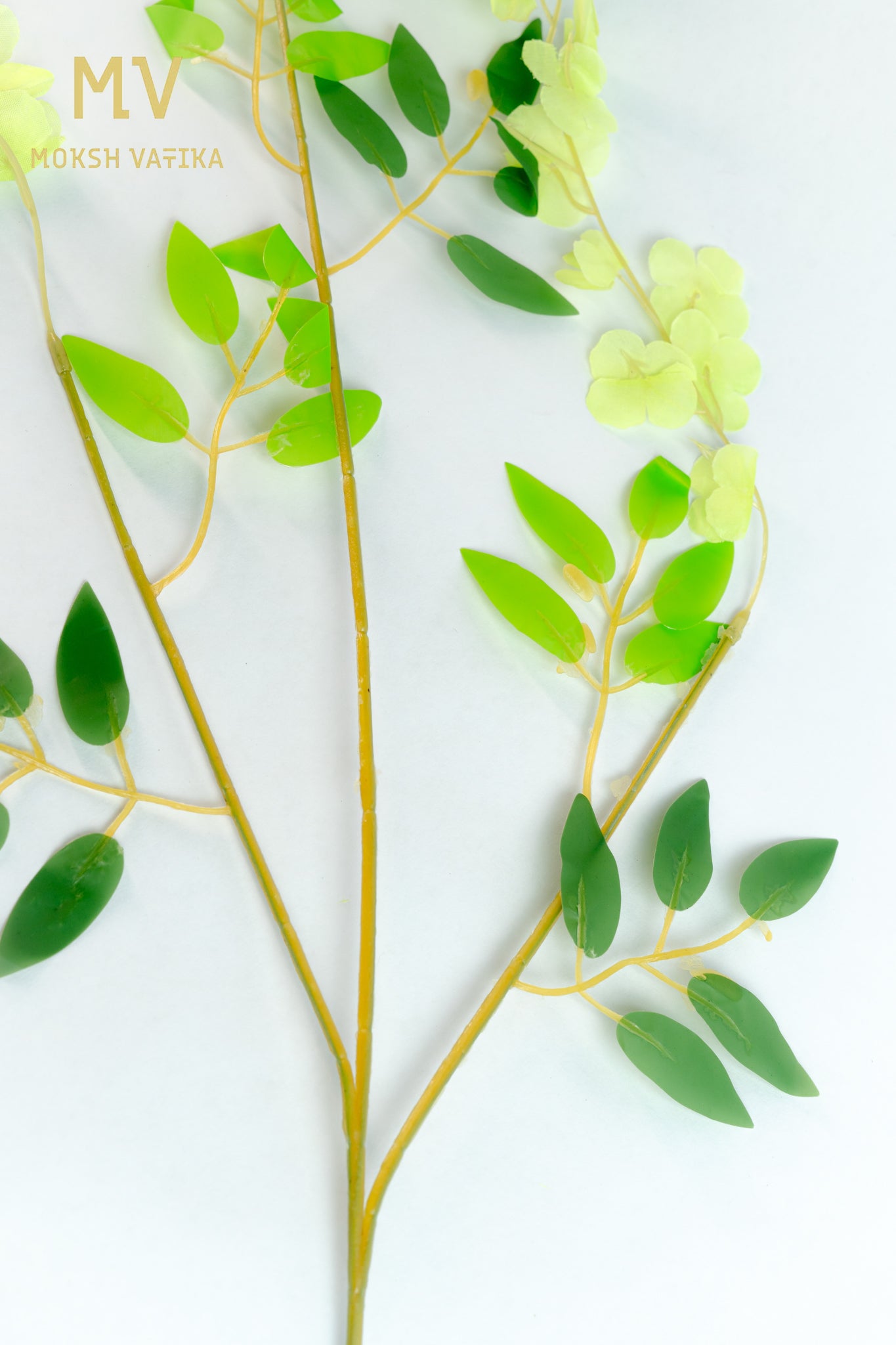 Artificial Wisteria Hanging Flower Orchid Spray Stem – Lemon Green (Set of 6 pieces)