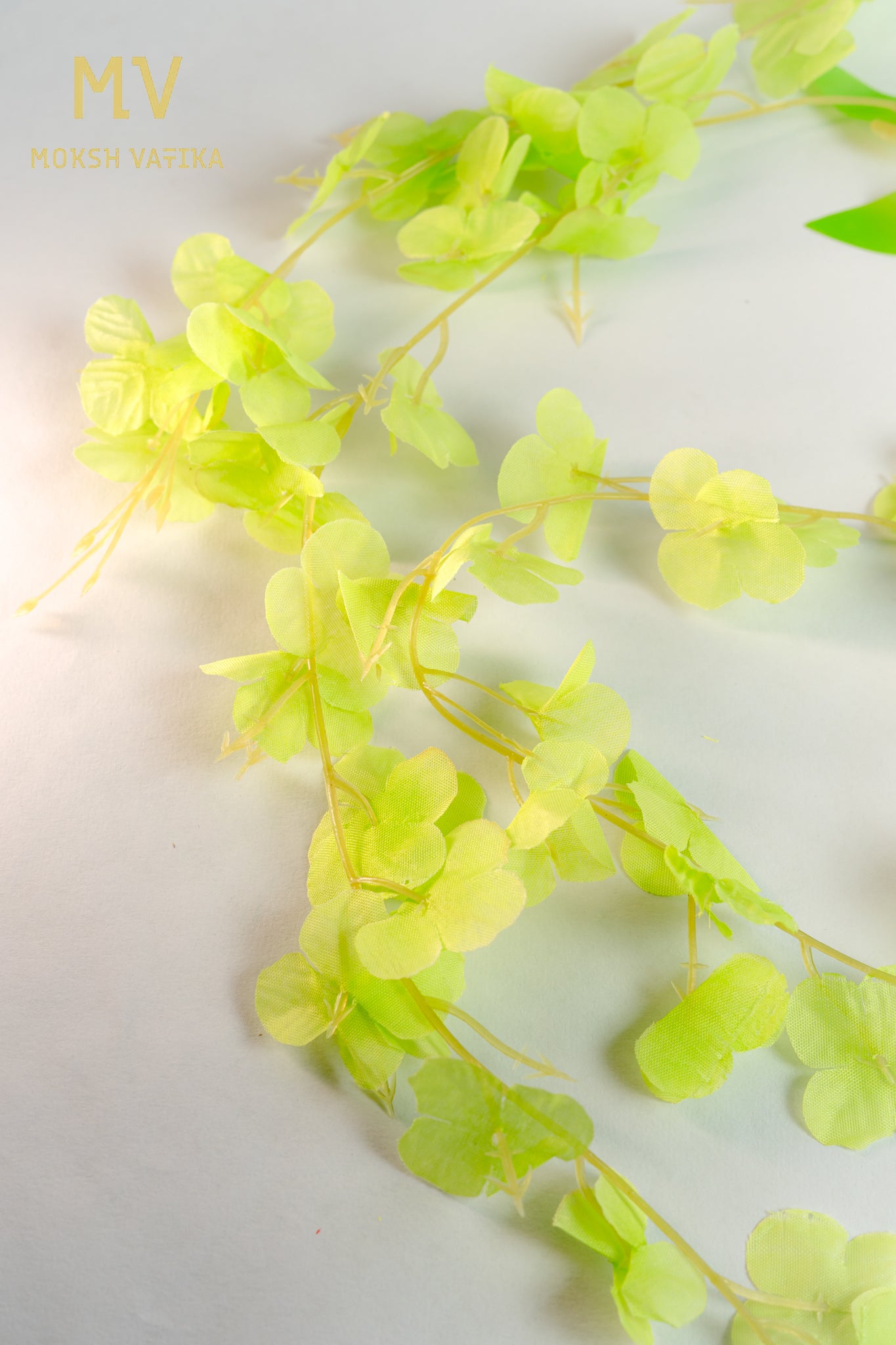 Artificial Wisteria Hanging Flower Orchid Spray Stem – Lemon Green (Set of 6 pieces)