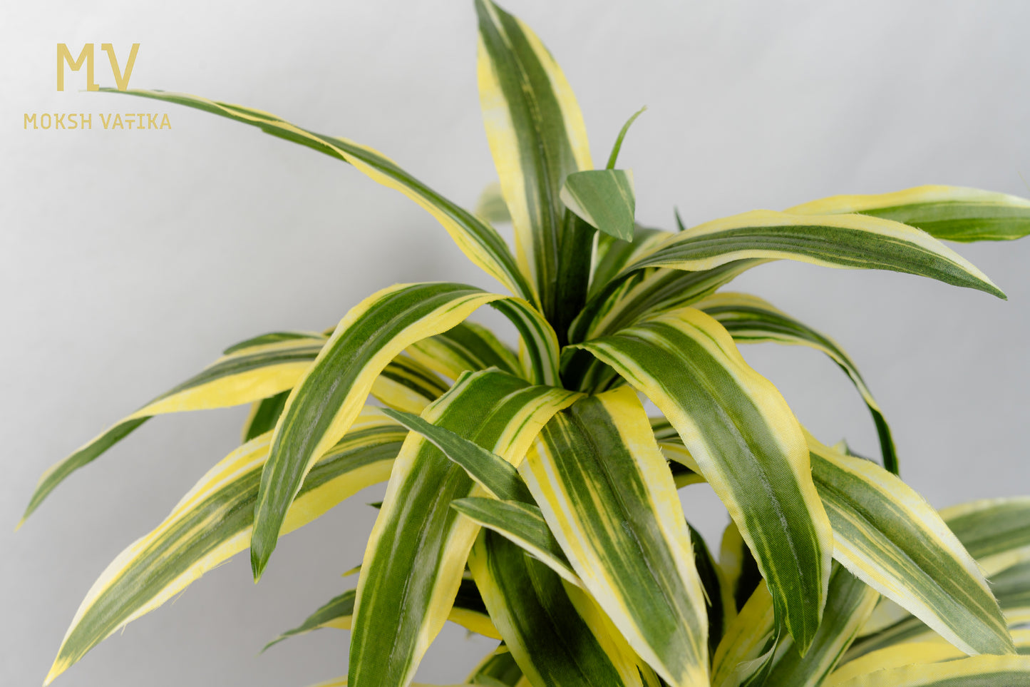 Dracaena Artificial Plant – Twin Stem in Glossy Green Pot