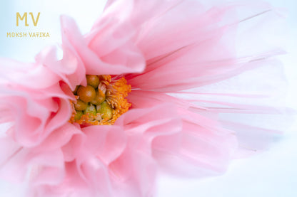 Artificial Tulle Peony Flower – Pink