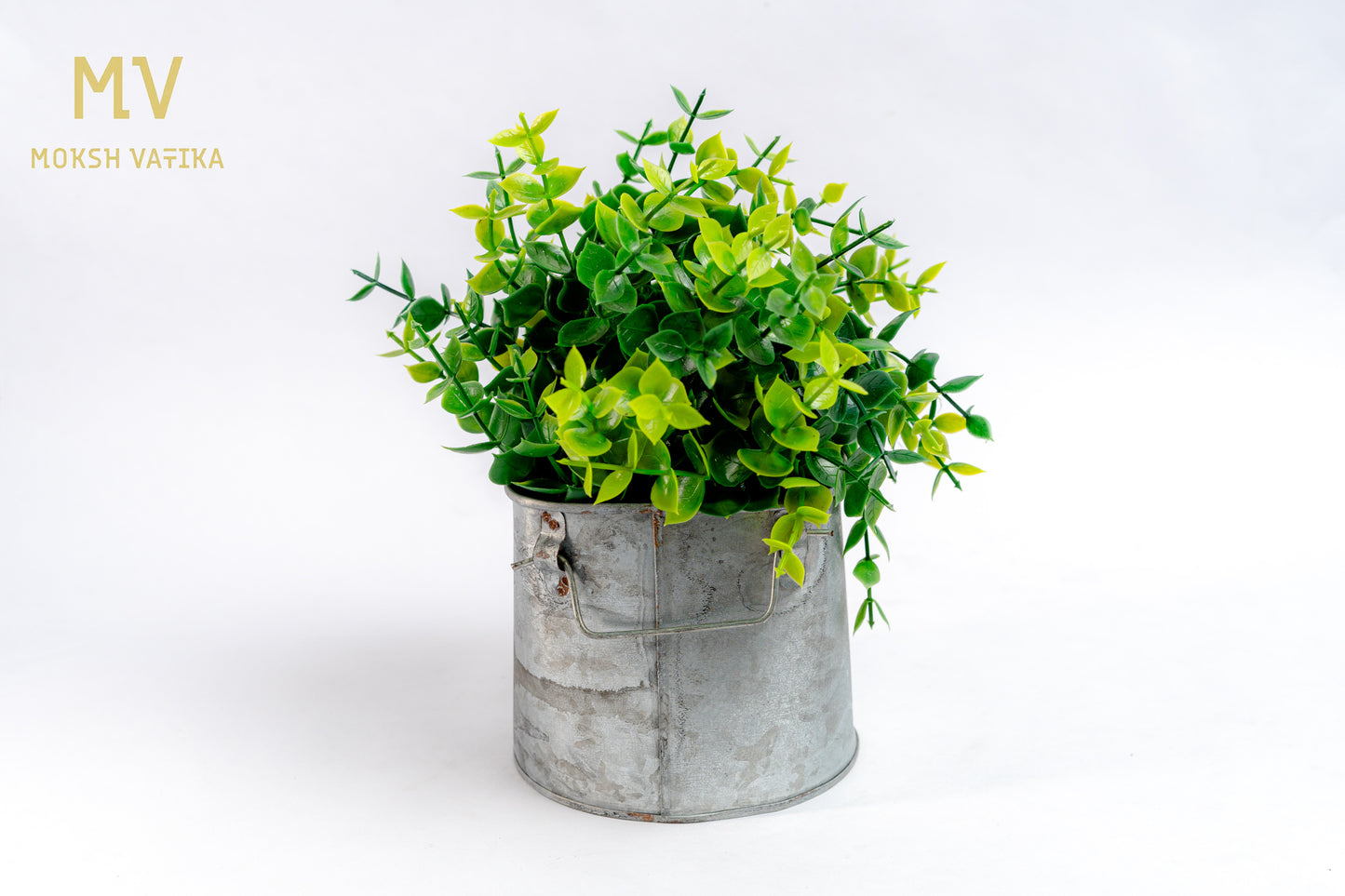 Mini Eucalyptus Bush in Rustic Tin Pot