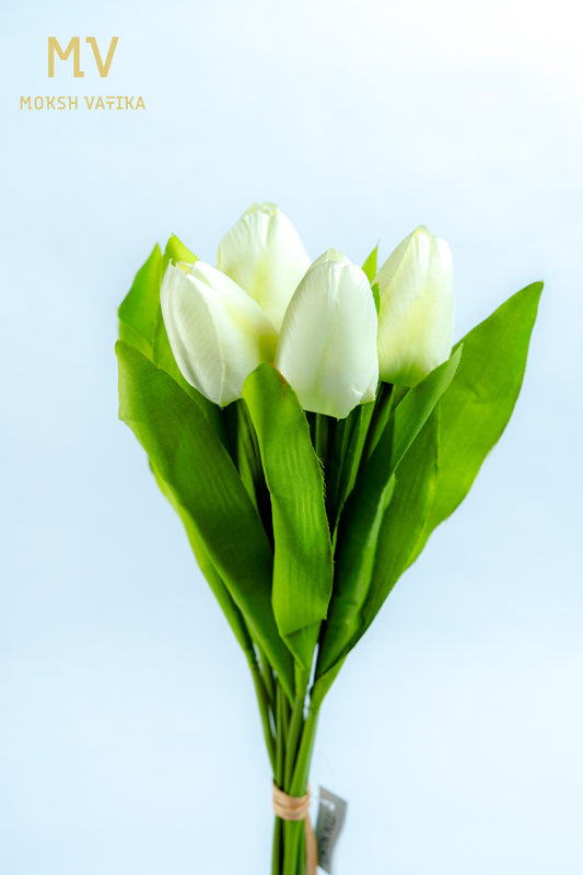 White Tulip Bunch – 5 Heads