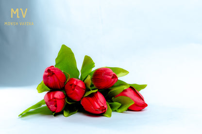 Red Tulip Bunch – 5 Heads