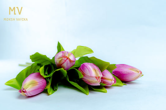 Purple Tulip Bunch – 5 Heads