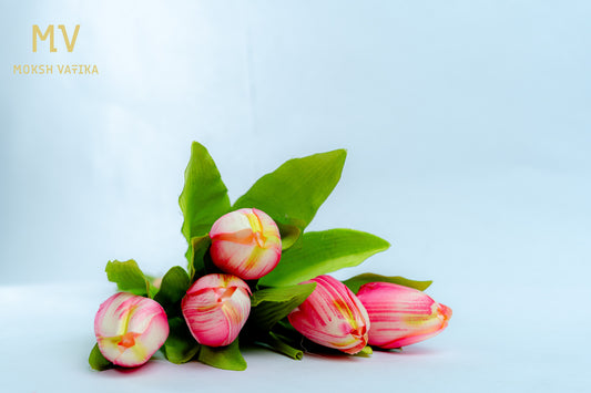 Pink Tulip Bunch – 5 Heads