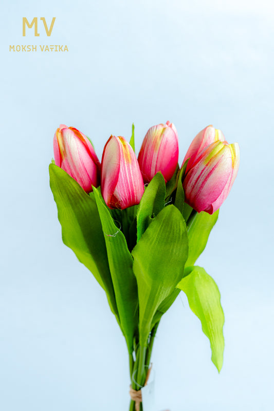 Pink Tulip Bunch – 5 Heads