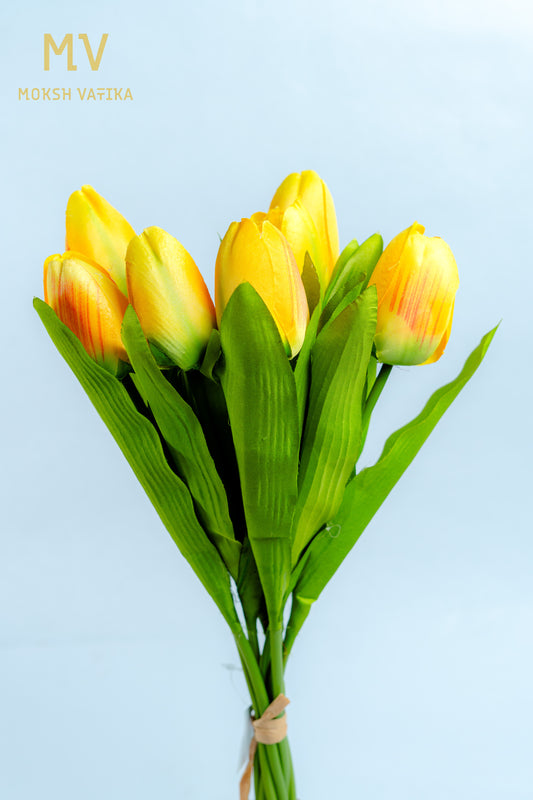 Yellow Tulip Bunch – 6 Heads