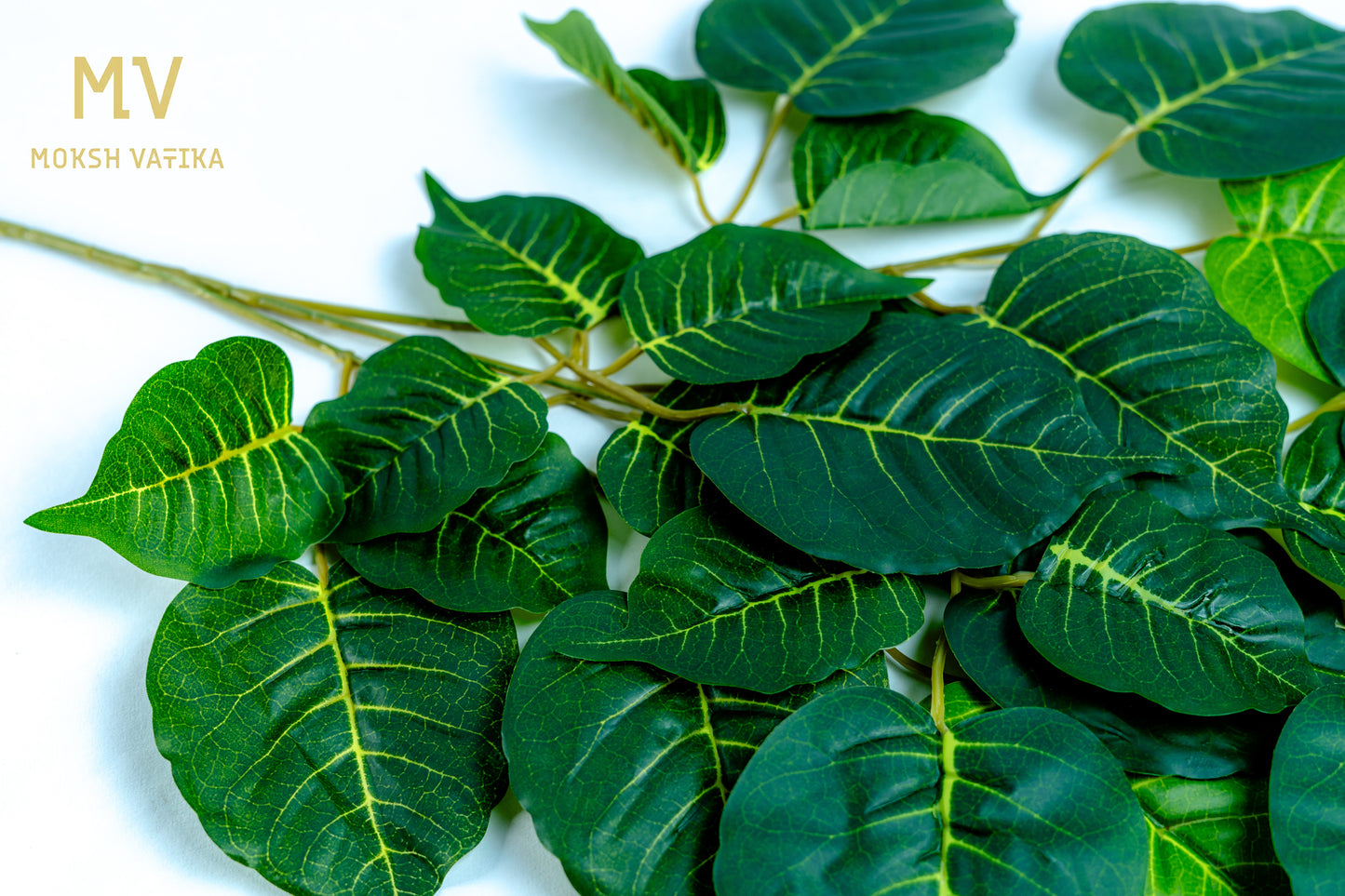 Sacred Peepal Leaf Spray Set of 4 Strips
