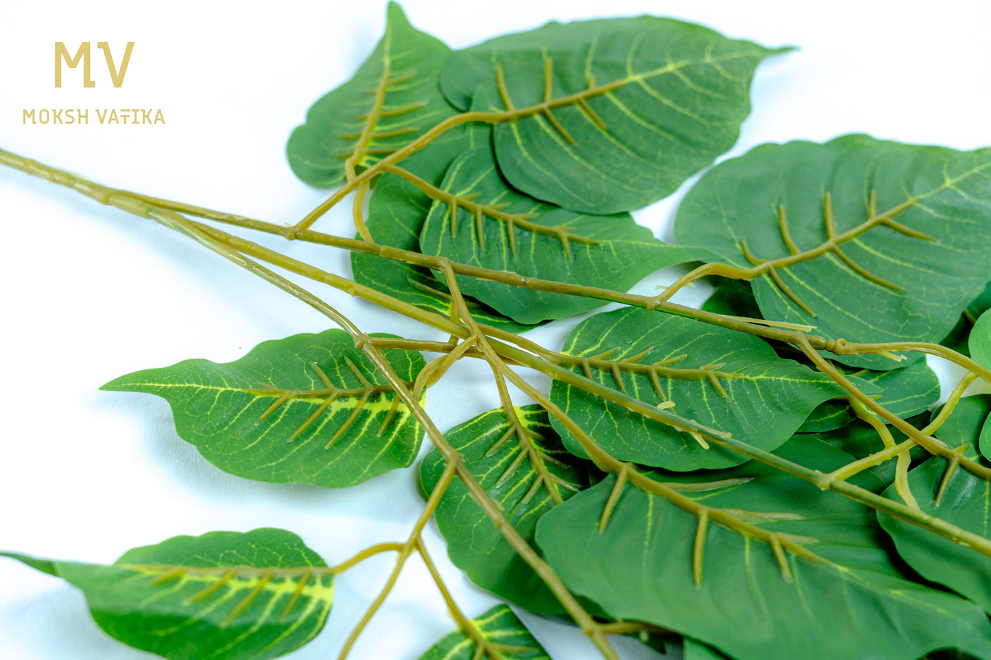 Sacred Peepal Leaf Spray Set of 4 Strips