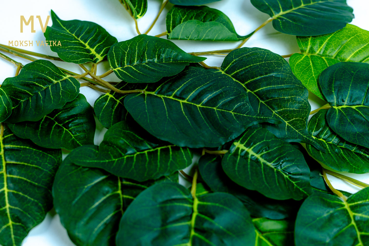 Sacred Peepal Leaf Spray Set of 4 Strips