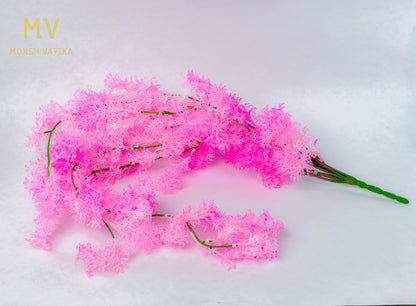 Coral Fluff – Pink Cloud