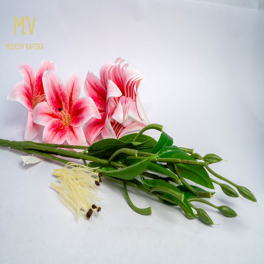 Lily Bloom Stem – Petal Peach
