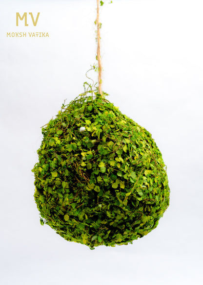 Foliage Nest Ball
