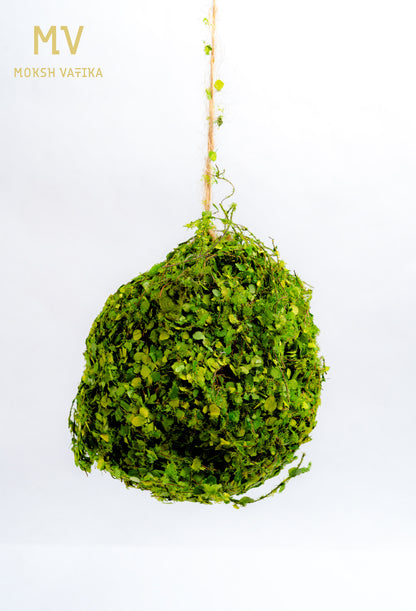 Foliage Nest Ball