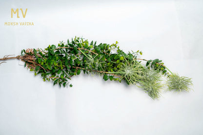 Eucalyptus & Tillandsia Greenery Stem – Real Touch Foliage Bunch