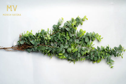 Eucalyptus & Tillandsia Greenery Stem – Real Touch Foliage Bunch