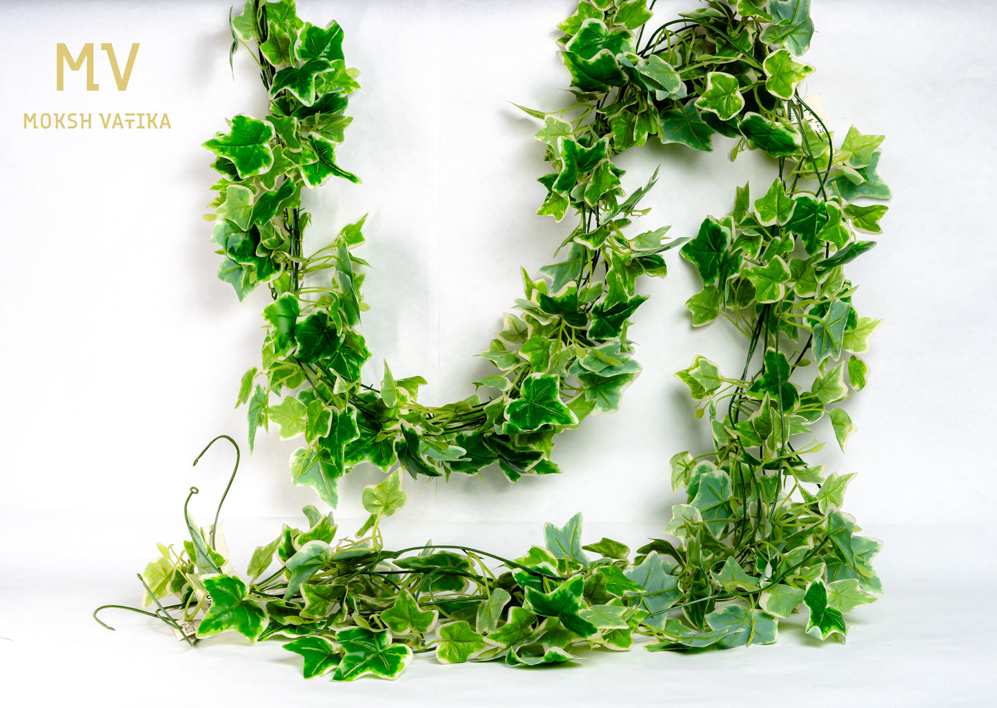 Everlush Ivy Trail