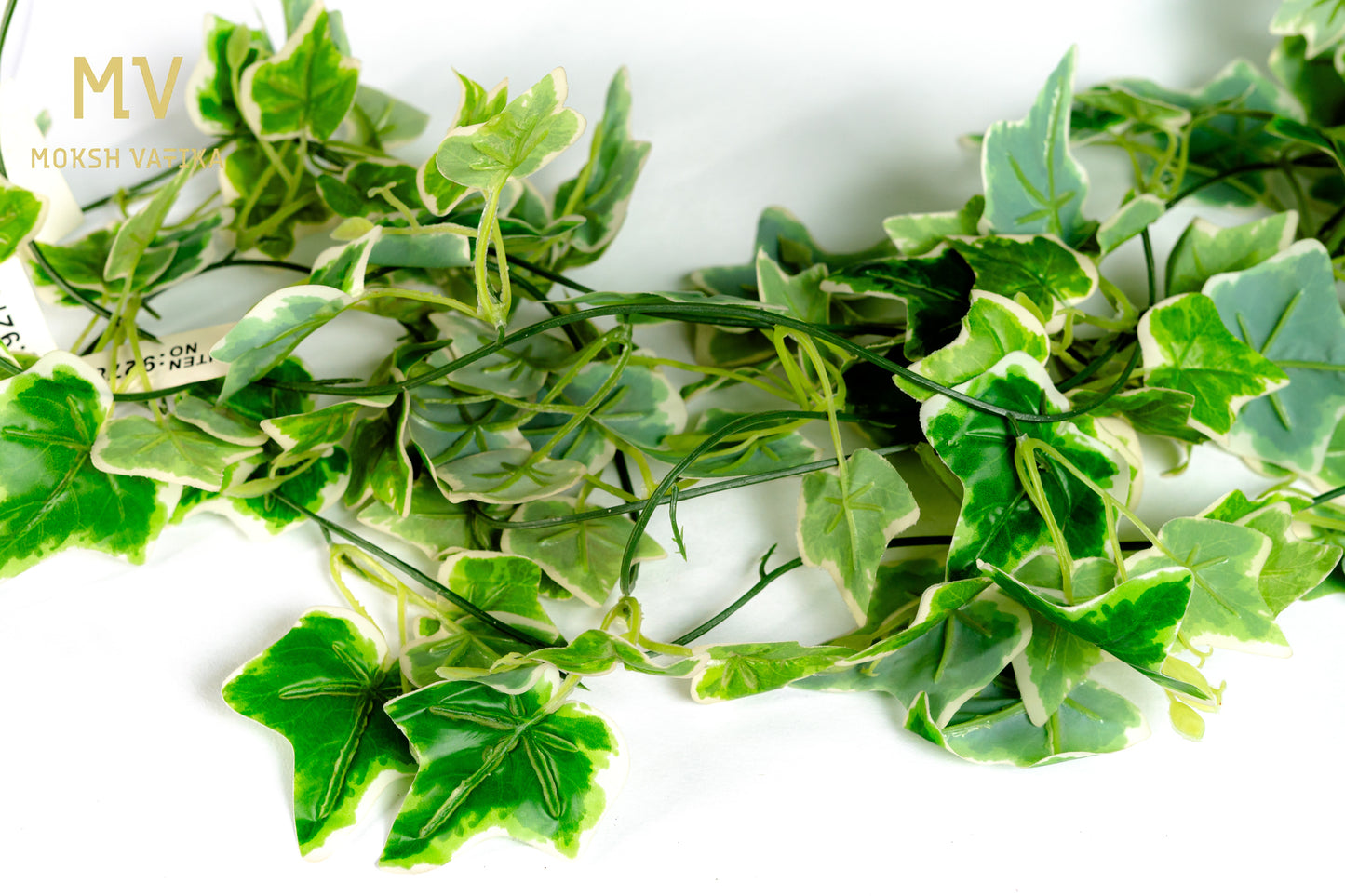 Everlush Ivy Trail