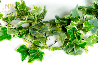 Everlush Ivy Trail