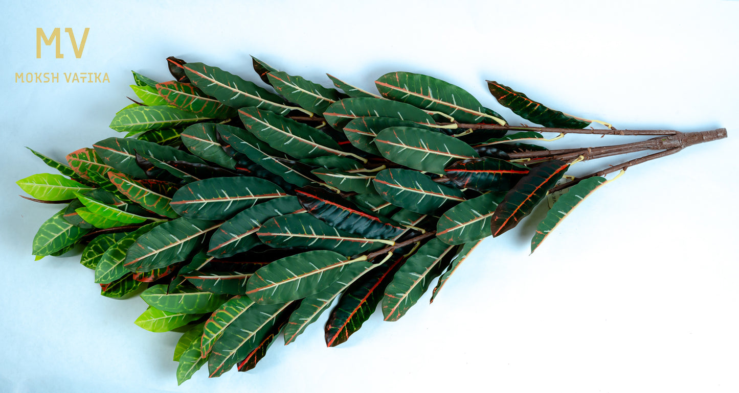 Jungle Croton Stem