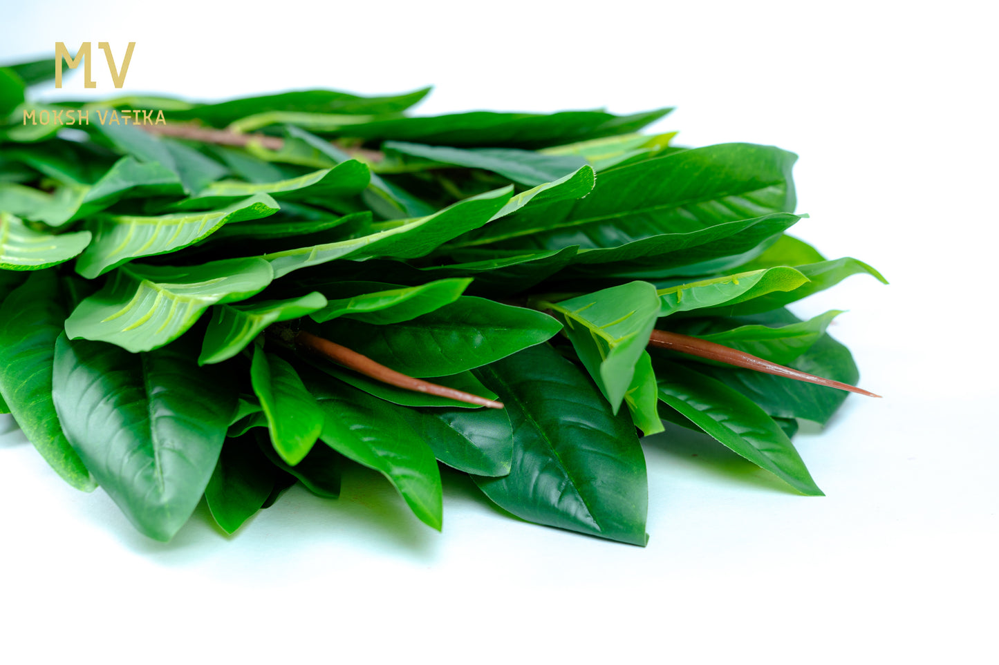 Rainforest RealTouch Leaf Spray