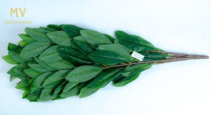 Rainforest RealTouch Leaf Spray