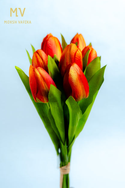 Peach Tulip Bunch – 6 Heads