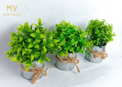 The Green Nook Set