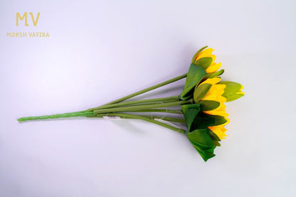 Yellow Lotus Bunch - Blooming Buds