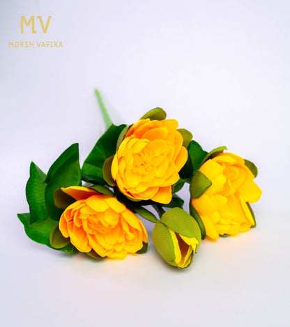 Yellow Lotus Bunch - Blooming Buds